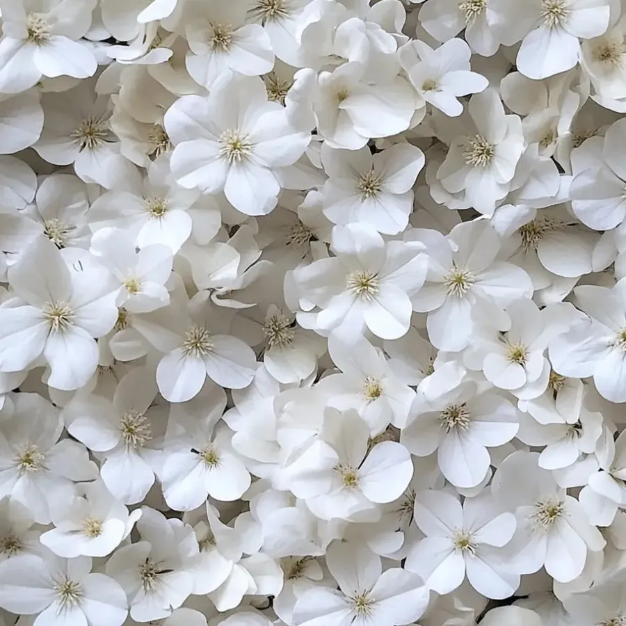 Planten|Tuinplanten-Plant in a Box Hortensia - Set van 3 - Hydrangea 'Benxi' - Hoogte 25-40cm - ⌀9cm