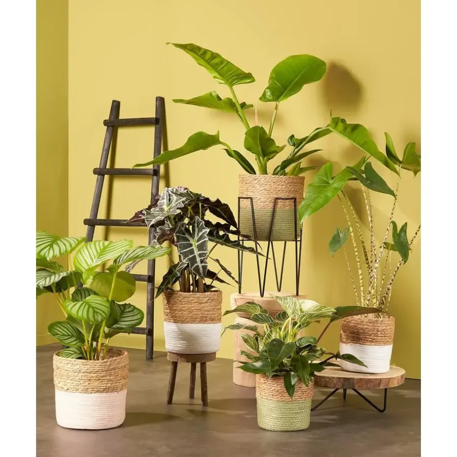 House of Seasons Ladderrek - L29 x B49 x H119 cm - Zwart