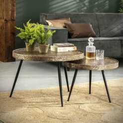Hoyz Collection Hoyz - Salontafel Rond Metallic - Goudkleurig - Set van 2