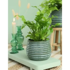 Ideas 4 Seasons Ideas4seasons Plantenpot ribbel - donkergroen - D16 x H13 cm
