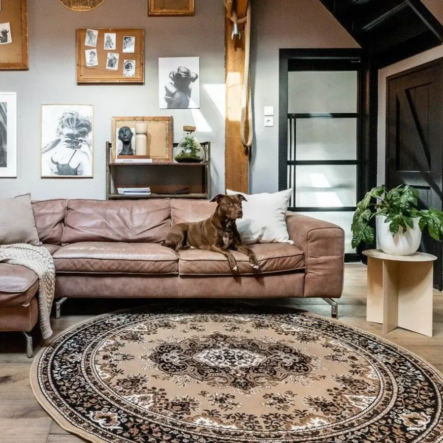 Vloerkleden|Laagpolige Vloerkleden-Interieur05 rond vintage Vloerkleed Nain Perzisch bruin - 100 x 100 cm