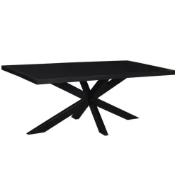 Rechthoekige Eettafels|Industriële Eettafels-Livingfurn - e Zwart Eetkamertafel kala - Mango Hout - 200 cm