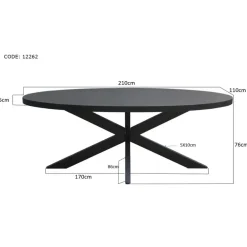Livingfurn - Zwart Ovale Eetkamertafel - - Mango Hout - 210 cm