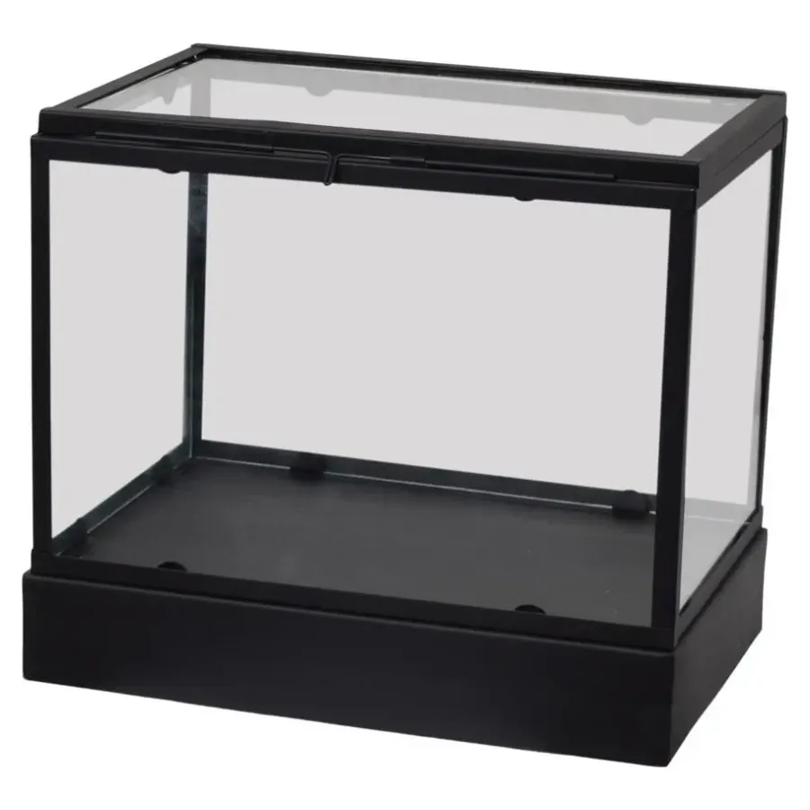 Beelden-Loft24 LOFT42 Showy Glazen Display Box Zwart - Metaal - (27x30x20)