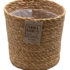 Kamerplanten-Plant in a Box Luchtzuiverende kamerplanten - Set van 5 - Met mand - Hoogte 25-40cm - ⌀12cm