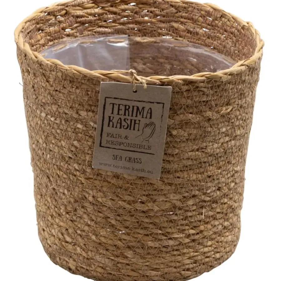 Kamerplanten-Plant in a Box Luchtzuiverende kamerplanten - Set van 5 - Met mand - Hoogte 25-40cm - ⌀12cm