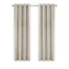 LW Collection Gordijnen Beige 270x290cm Velvet Kant en klaar 1 stuk