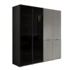 Draaideurkasten-Meubella - Kledingkast Shelton - Grijs - 202 cm - Met glas