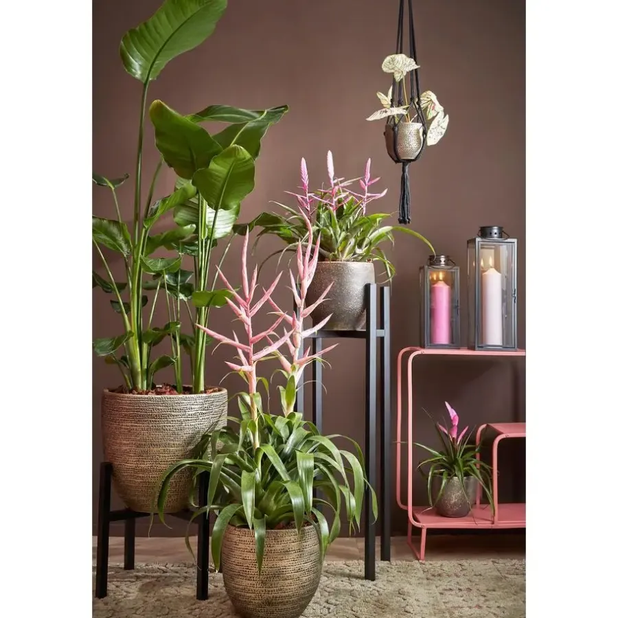 Kandelaars En Windlichten-Mica Decorations Arzilla Lantaarn - L13,5 x B13 x H34,5 cm - Zwart