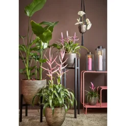 Kandelaars En Windlichten-Mica Decorations Arzilla Lantaarn - L13,5 x B13 x H34,5 cm - Zwart