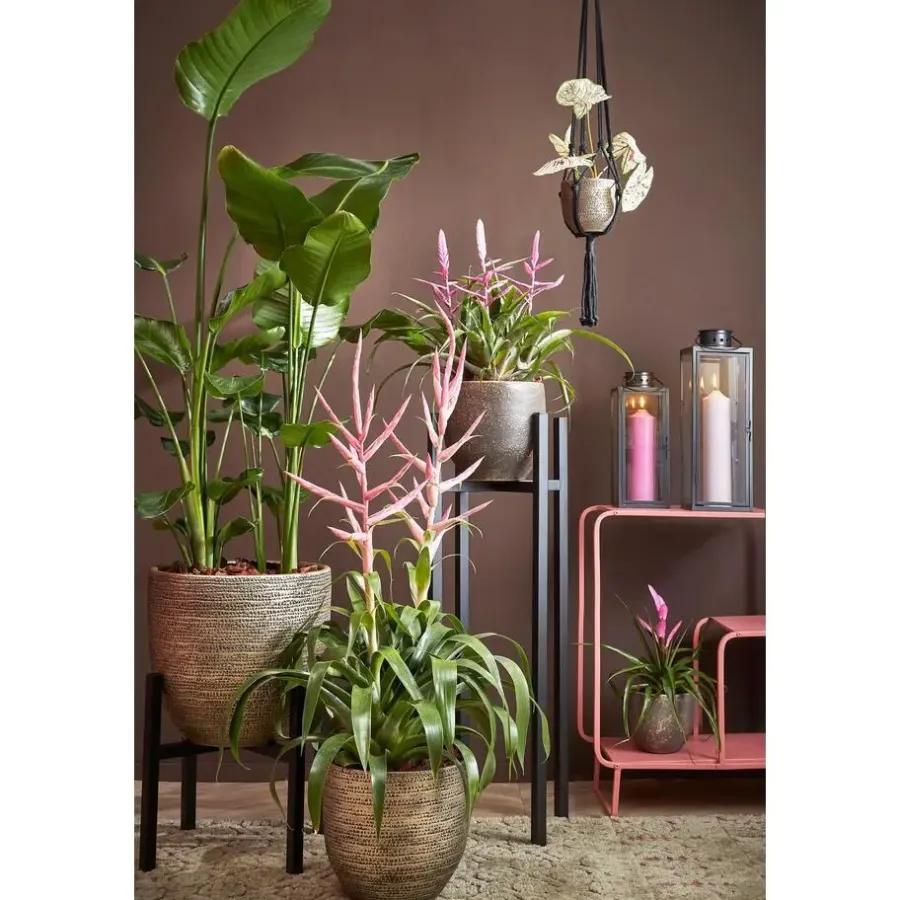 Kandelaars En Windlichten-Mica Decorations Arzilla Lantaarn - L13,5 x B13 x H34,5 cm - Zwart