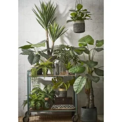 Mica Decorations Bonaparte Mand voor Planten Ø20 cm