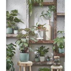 Bloempotten Voor Binnen-Mica Decorations Daan Bloempot - H17,5 x Ø19 cm - Groen