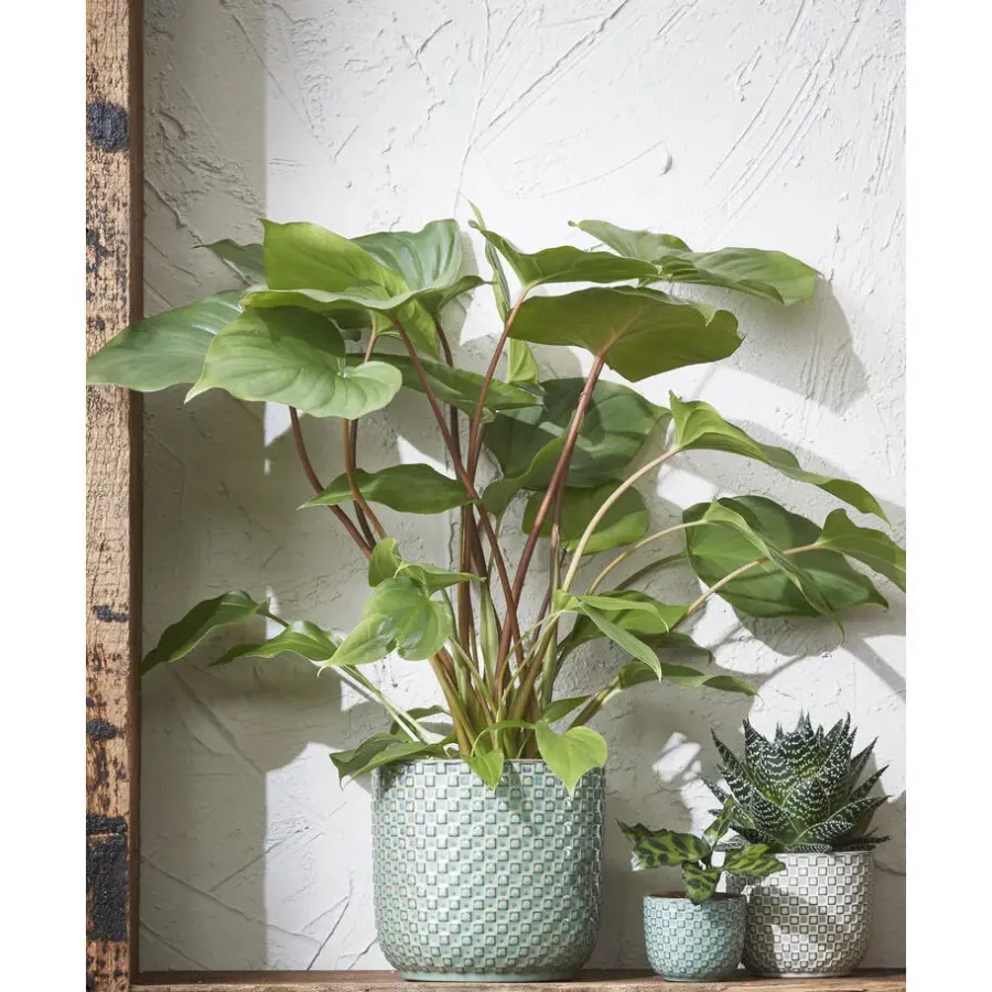 Bloempotten Voor Binnen-Mica Decorations Daan Bloempot - H17,5 x Ø19 cm - Groen
