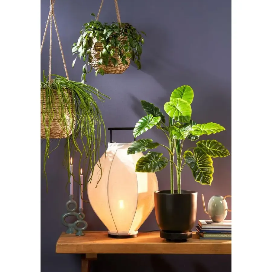 Bloempotten Voor Binnen-Mica Decorations Planten/bloempot Tusca - Zwart - D28/H25 cm