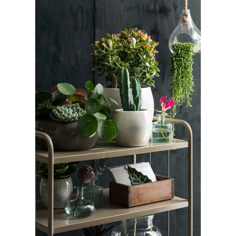 Bloempotten Voor Binnen-Mica Decorations Plantenpot - groen - glans - keramiek - 28 x 26 cm