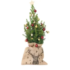 Kerstbomen-Plant in a Box Mini-kerstboom met juten zak - Picea glauca ‘Conica’ - Hoogte 55-65cm - ⌀15cm