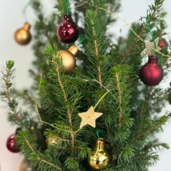 Kerstbomen-Plant in a Box Mini-kerstboom met juten zak - Picea glauca ‘Conica’ - Hoogte 55-65cm - ⌀15cm