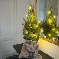 Kerstbomen-Plant in a Box Mini-kerstboom met juten zak - Picea glauca ‘Conica’ - Hoogte 55-65cm - ⌀15cm
