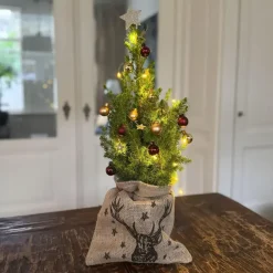 Kerstbomen-Plant in a Box Mini-kerstboom met juten zak - Picea glauca ‘Conica’ - Hoogte 55-65cm - ⌀15cm