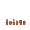 Plant in a Box Mix cactus - Set van 6 - Cactus - Hoogte 5-10cm - ⌀5,5cm