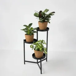 Kamerplanten-Plant in a Box Mix van 3 kamerplanten incl. mandjes - Hoogte 25-40cm - ⌀12cm