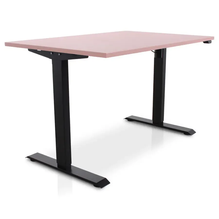 Lineaflex MRC MRC EASY Zit-Sta Bureau – Elektrisch Verstelbaar – 120x80 cm – Blad Dusty Rose