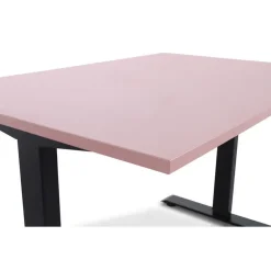 Lineaflex MRC MRC EASY Zit-Sta Bureau – Elektrisch Verstelbaar – 160x80 cm – Blad Dusty Rose