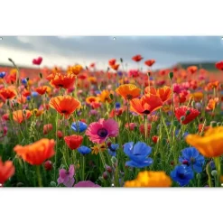 Tuindecoratie-MuchoWow Tuinposter 180x120cm Bloemen Klaprozen Kleurrijk