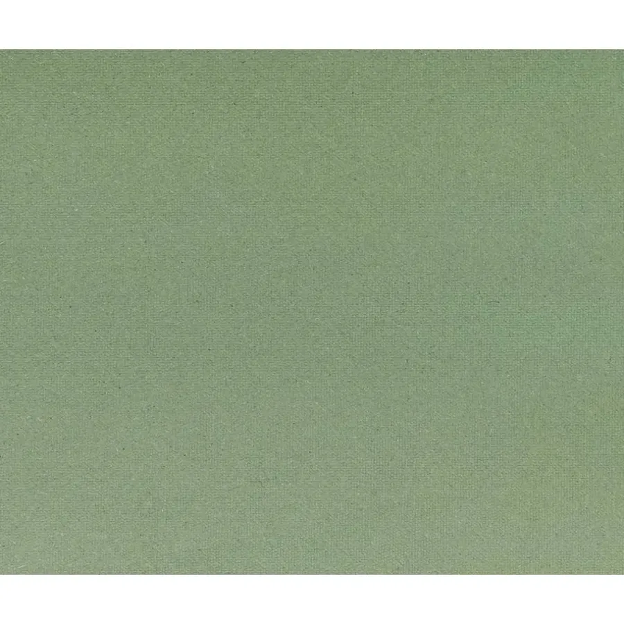 Ondervloeren-Leen Bakker Ondervloer Calypso - zachtboard - groen - 7,52 m2