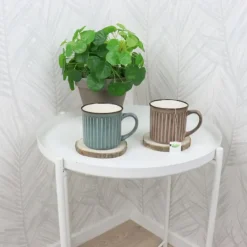 OTIX Koffiekopjes met Oor Koffietassen Set van 4 Aardewerk 250 ml MOSS