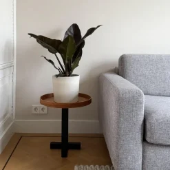 Kamerplanten-Plant in a Box Philodendron - Philodendron 'Imperial Red' - Hoogte 50cm - ⌀19cm
