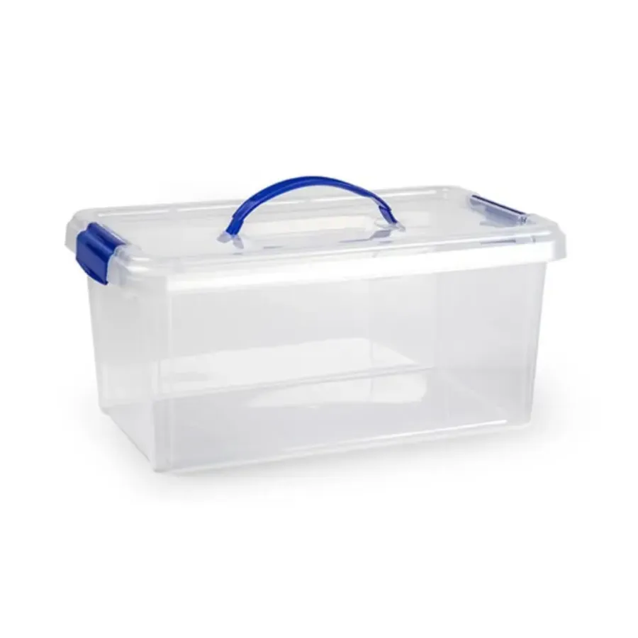 Opbergboxen-PlasticForte Plastic Forte Opslagbak - met deksel - 10 liter - transparant