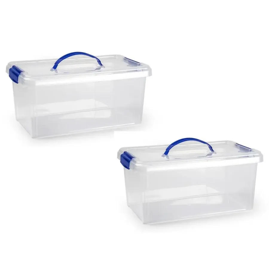 Opbergboxen-PlasticForte Plastic Forte Opslagbak - met deksel - 10 liter - transparant