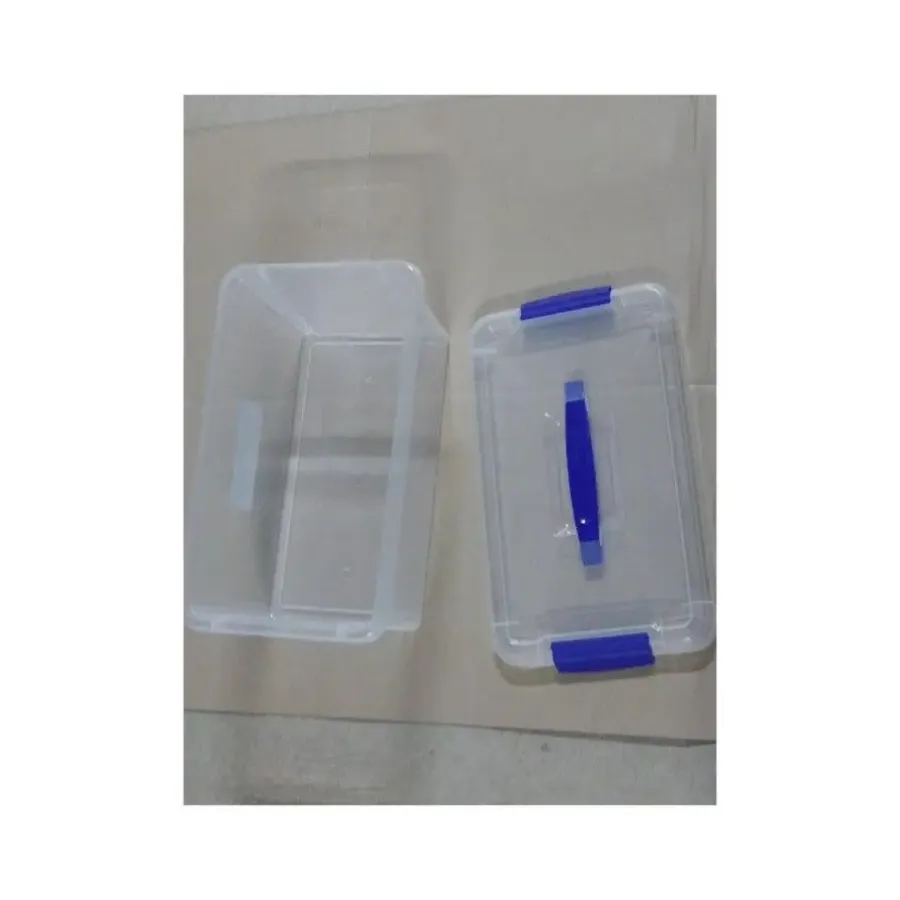 Opbergboxen-PlasticForte Plastic Forte Opslagbak - met deksel - 10 liter - transparant