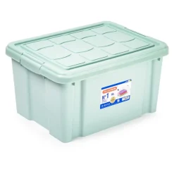 Opbergboxen-PlasticForte Multi Storage Opslagbox - mintgroen - 16L
