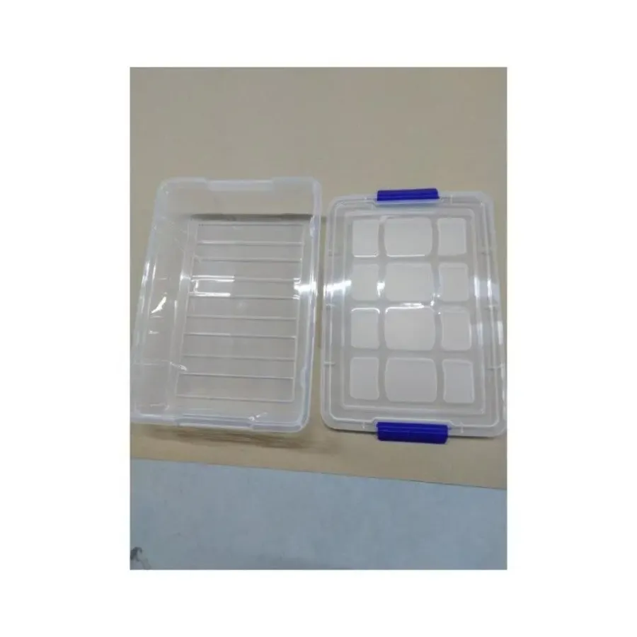 Opbergboxen-PlasticForte Opbergbox met deksel - 5L - 26 x 40 x 8,5 cm