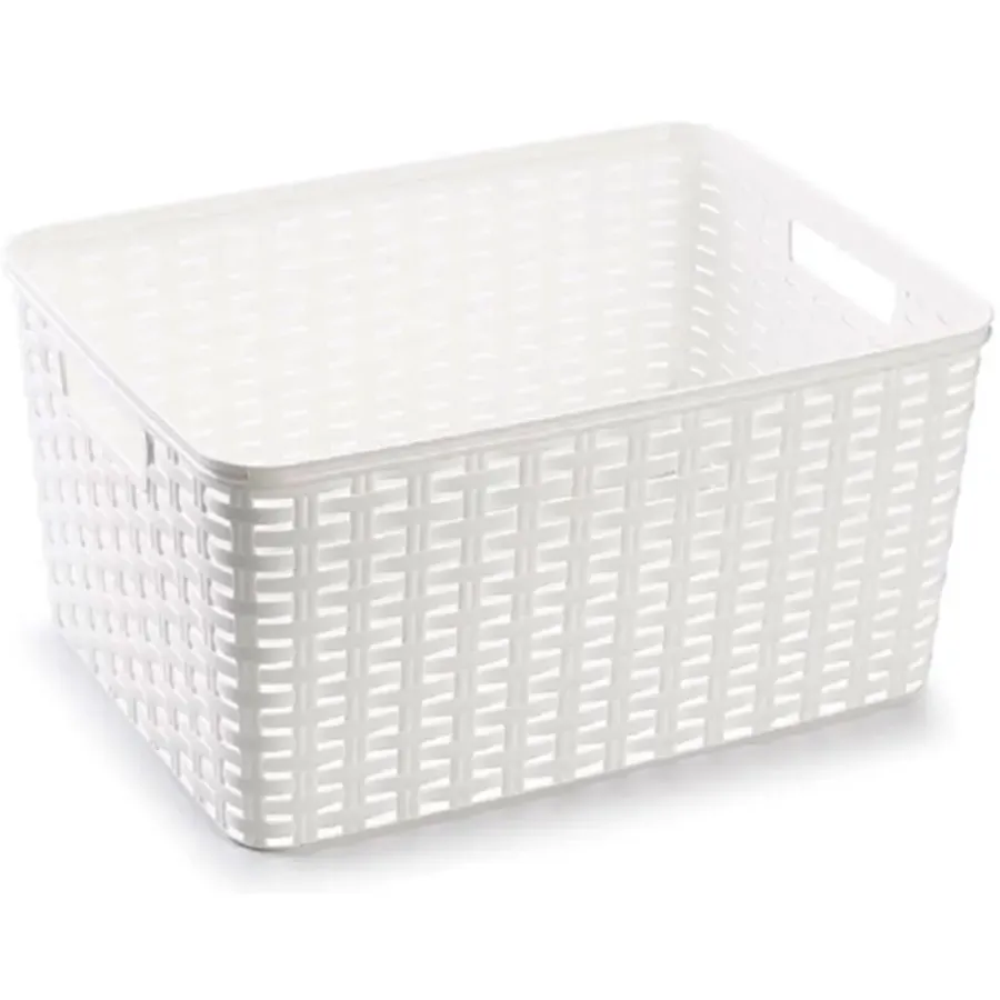 PlasticForte Opbergmand - Kastmand - rotan kunststof - wit - 18 L