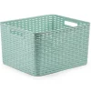 PlasticForte Opbergmand - Kastmand - kunststof - mintgroen - 28L
