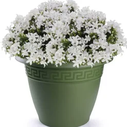 Bloempotten-PlasticForte Plantenpot - donkergroen - 50x40 cm - kunststof