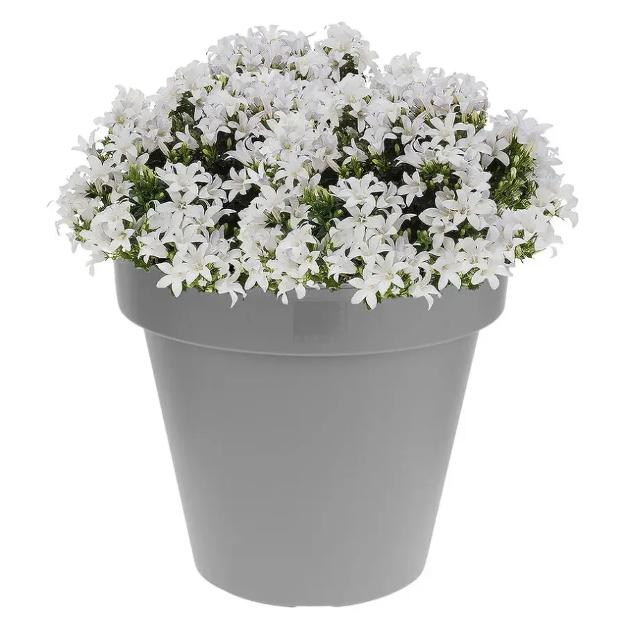 Prosperplast Bloempot - D50 x H42 cm - lichtgrijs - kunststof