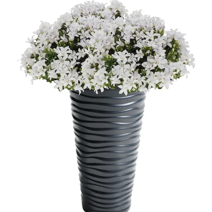 Bloempotten-Prosperplast Bloempot Sand - antraciet - kunststof - D30 x H52 cm