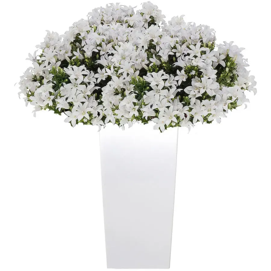 Prosperplast Bloempot Urbi - wit - kunststof - 75 cm