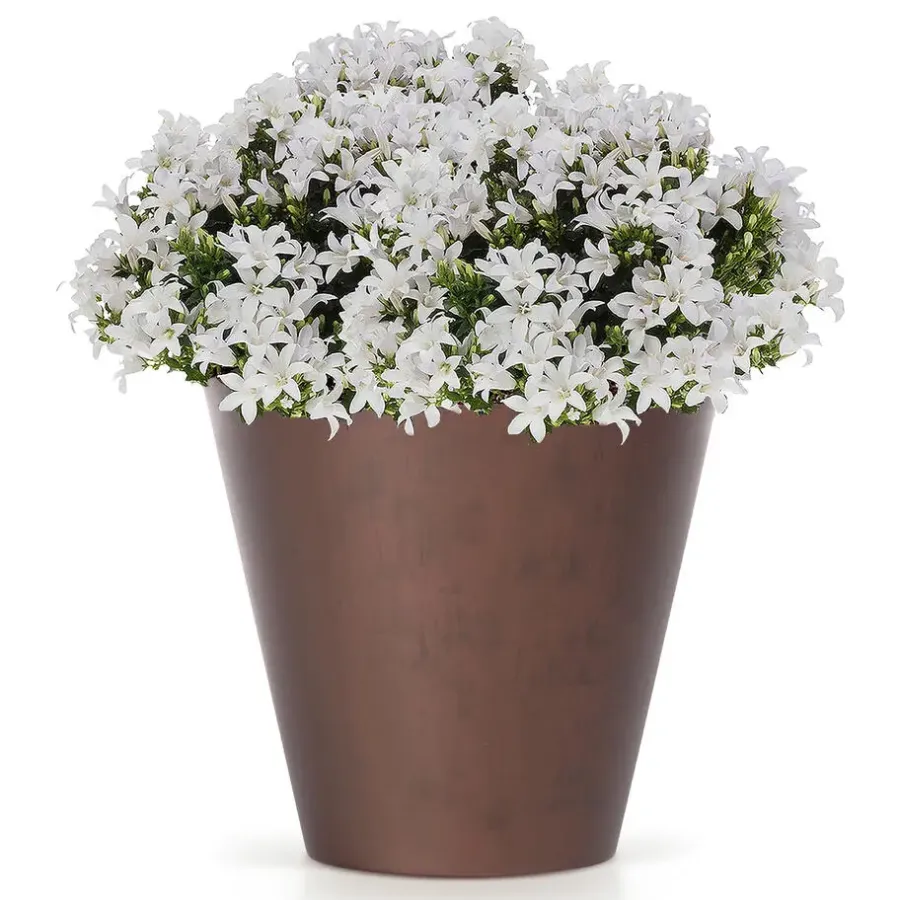 Prosperplast plantenpot - kunststof - brons - D30 x H28 cm