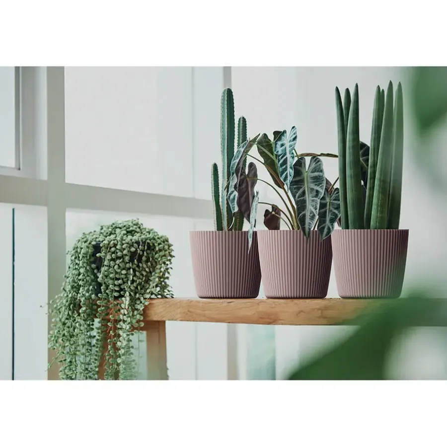 Bloempotten-Prosperplast Plantenpot Buckingham - antraciet - D39 cm