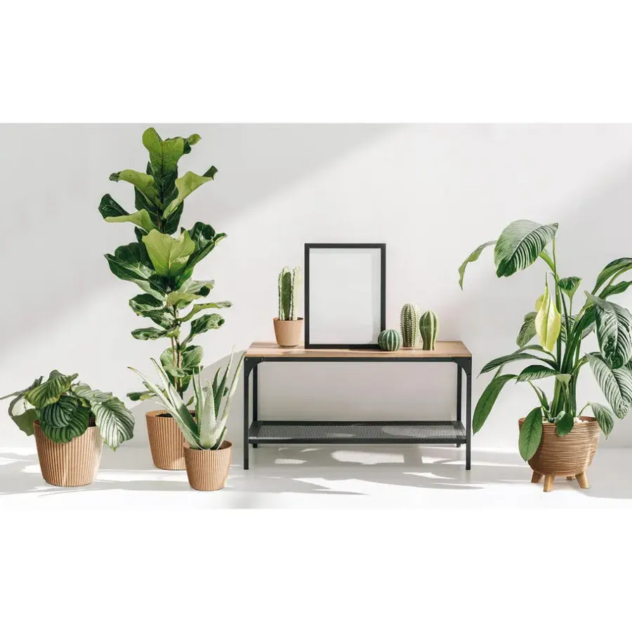 Bloempotten-Prosperplast Plantenpot Buckingham - antraciet - D39 cm