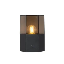 QAZQA buitenlampen met sensor denmark zwart e27