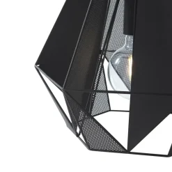 Hanglampen-QAZQA hanglampen carcass zwart e27