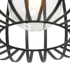 Hanglampen-QAZQA hanglampen johanna zwart e27
