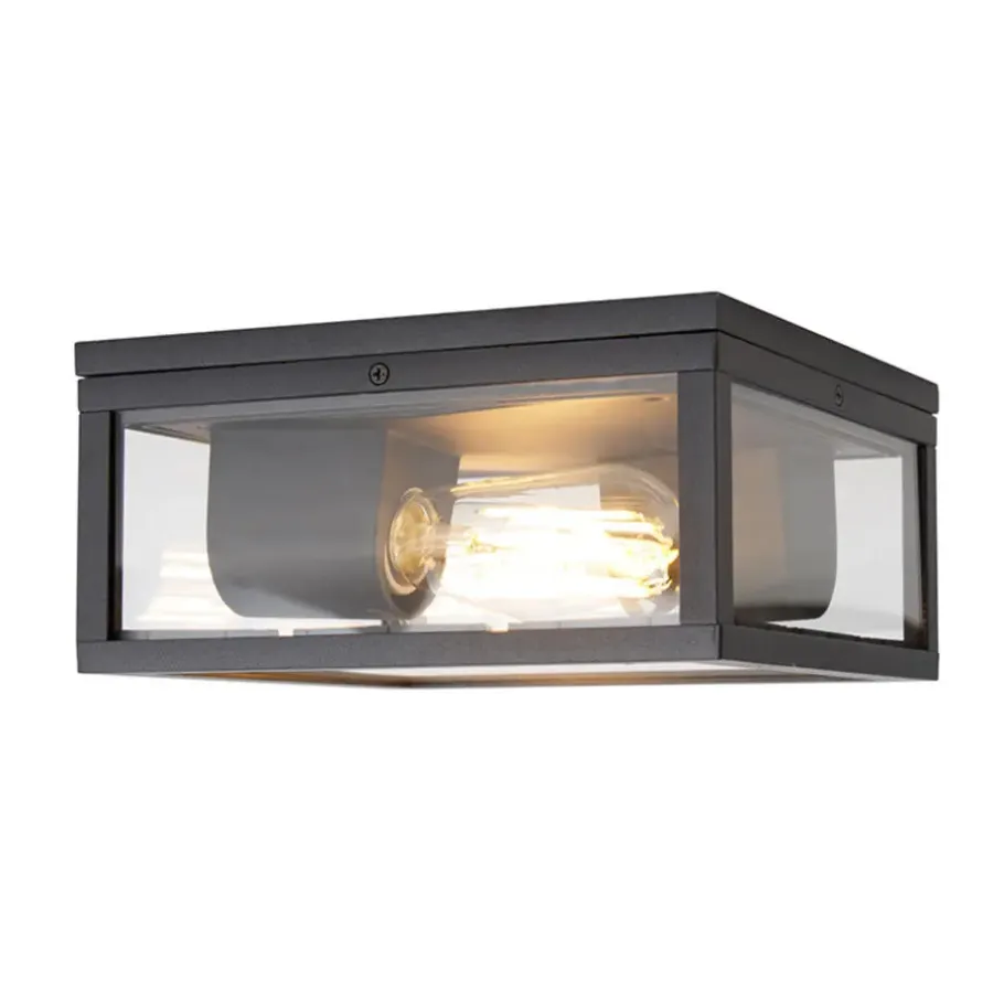 QAZQA plafondlampen buiten charlois zwart e27